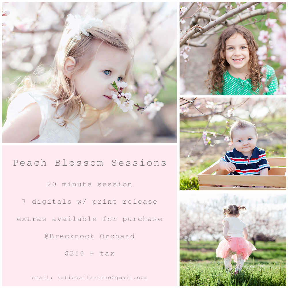 peach blossom sessions