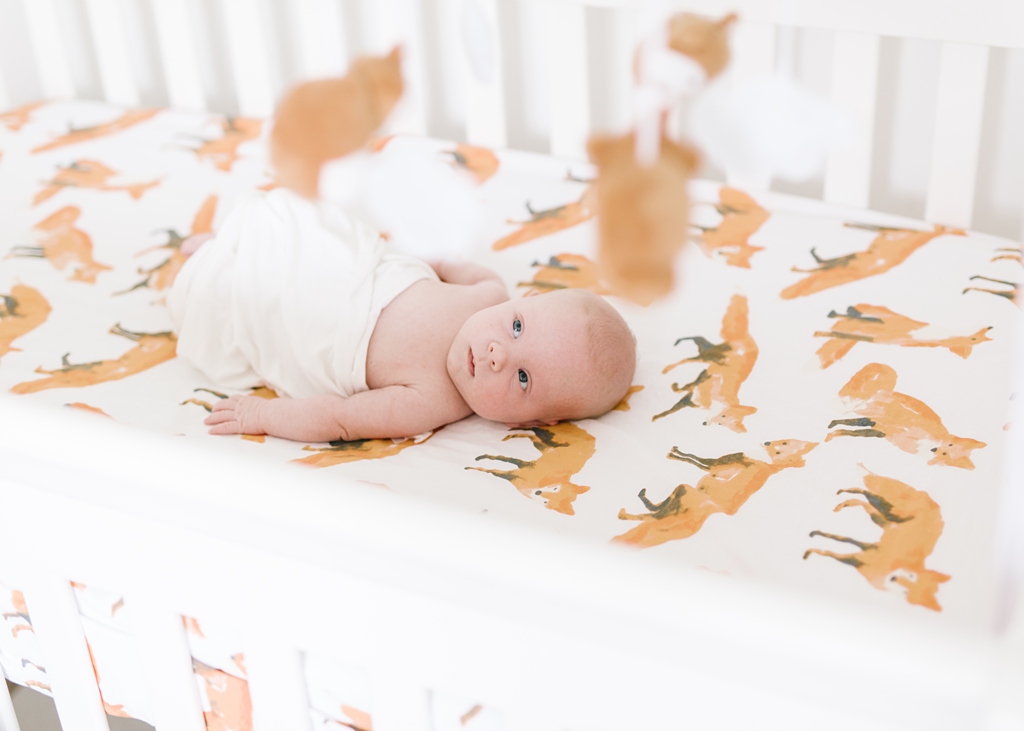 Katie Ballantine Photography, Frederick MD newborn photography, New Market Maryland In Home Newborn Photography, In home newborn session