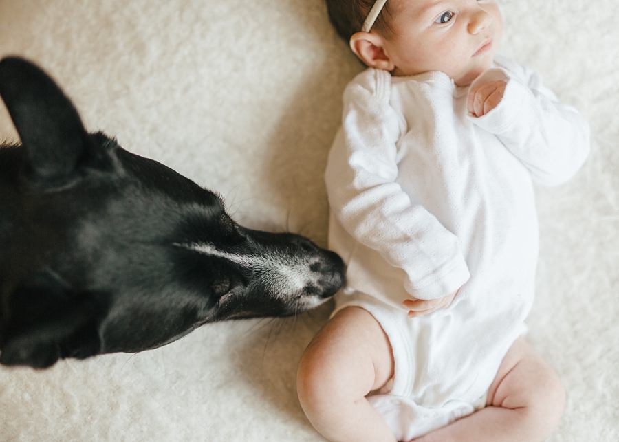 Frederick Maryland Newborn Photographer.  In-home lifestyle newborn photography.  Natural light photographer New Market, Maryland.