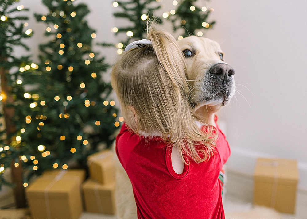 Katie Ballantine Photography. New Market Child photographer. New Market Christmas portraits. Frederick Child Photographer