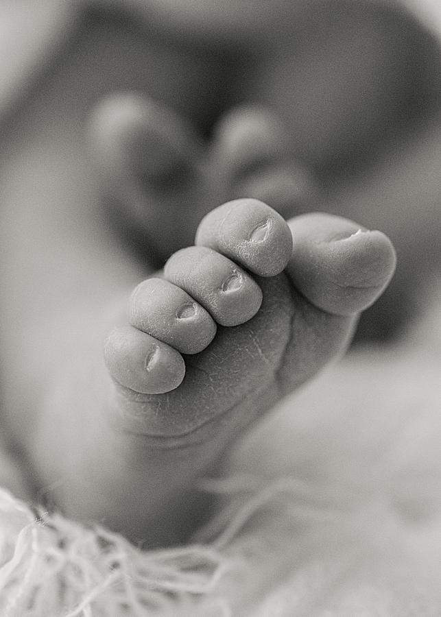 katie ballantine photography. best frederick newborn photographer. frederick newborn photographer. new market newborn photographer. organic newborn photographer. maryland organic photographer. new market baby photographer. newborn photography in frederick maryland
