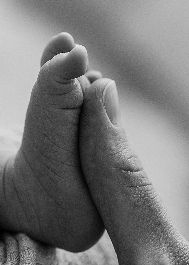 katie ballantine photography. best frederick newborn photographer. frederick newborn photographer. new market newborn photographer. organic newborn photographer. maryland organic photographer. new market baby photographer. newborn photography in frederick maryland