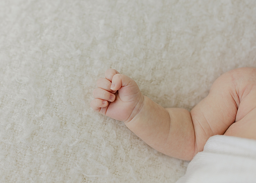 katie ballantine photography. new market maryland newborn photographer. frederick maryland newborn photographer. frederick baby photographer. best frederick baby photographer. best new market newborn photographer. organic newborn photography. natural posing newborn photography
