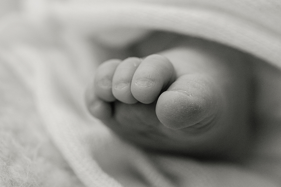 katie ballantine photography. new market maryland newborn photographer. frederick maryland newborn photographer. frederick baby photographer. best frederick baby photographer. best new market newborn photographer. organic newborn photography. natural posing newborn photography