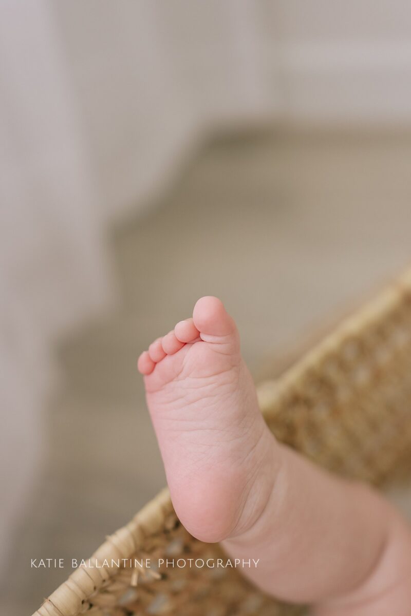 Frederick baby photographer. six month old girl photographs. New Market baby photographer. Frederick milestone photographer. Natural baby photography. Maryland baby photographer.